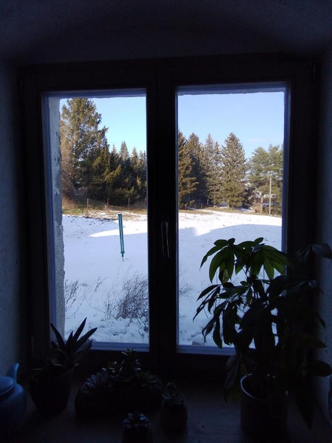 Monteur-Ferienwohnung Ot Naundorf Naundorf  Exteriér fotografie